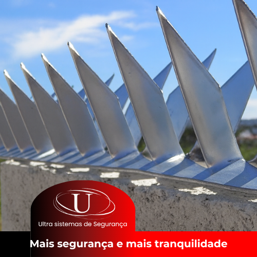 Lança Mandíbula de Segurança